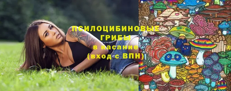 Псилоцибиновые грибы Magic Shrooms  Аткарск 